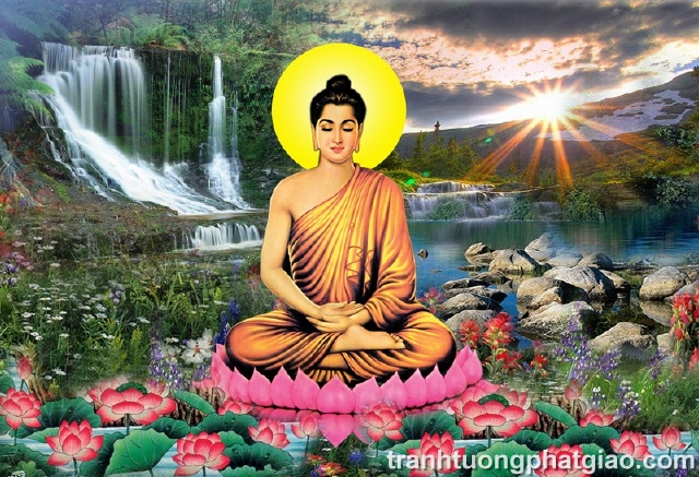 Bổn Sư Thích Ca Mâu Ni Phật (95)